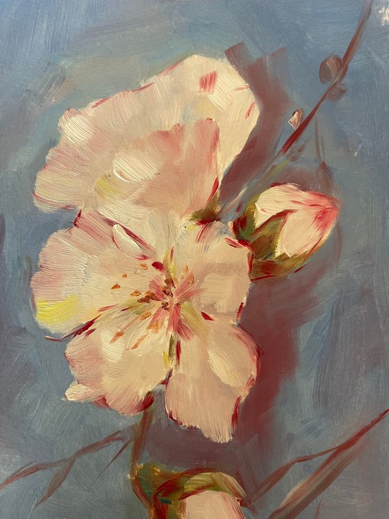 Almond