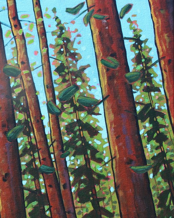 Trees of the Forest