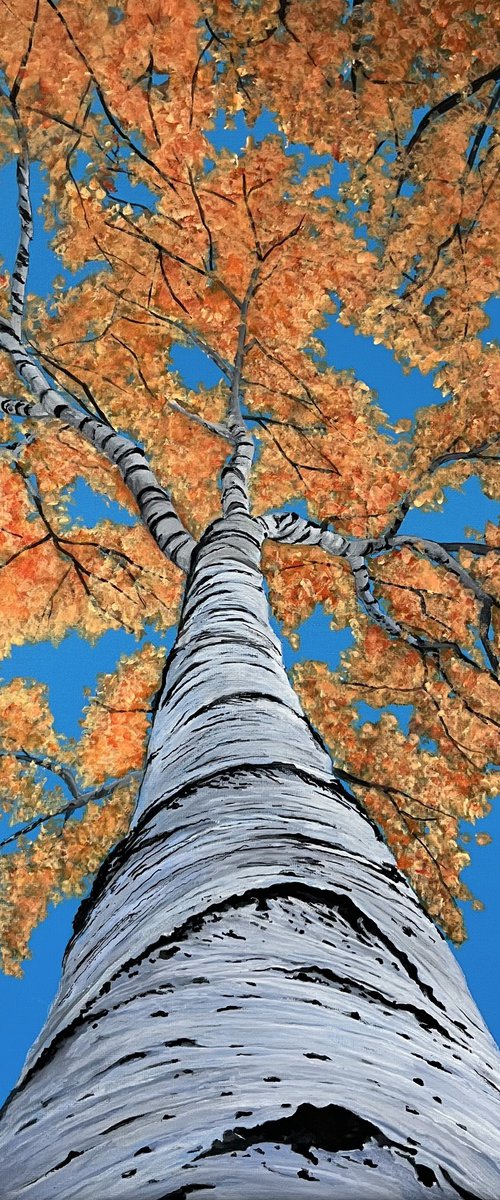 Ascension by Victoria Obolensky