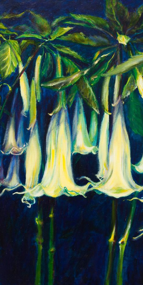 Night Flowers by Liudmila Pisliakova