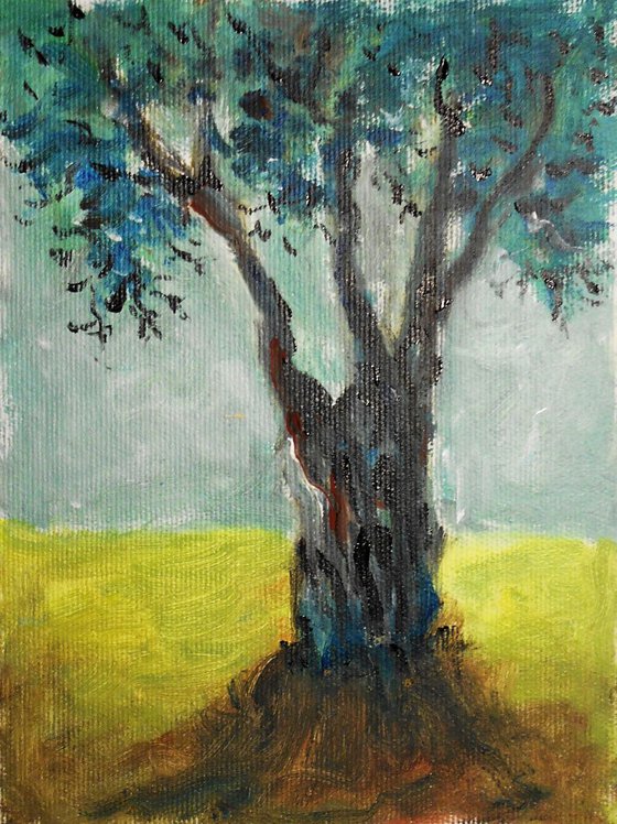 Olive tree