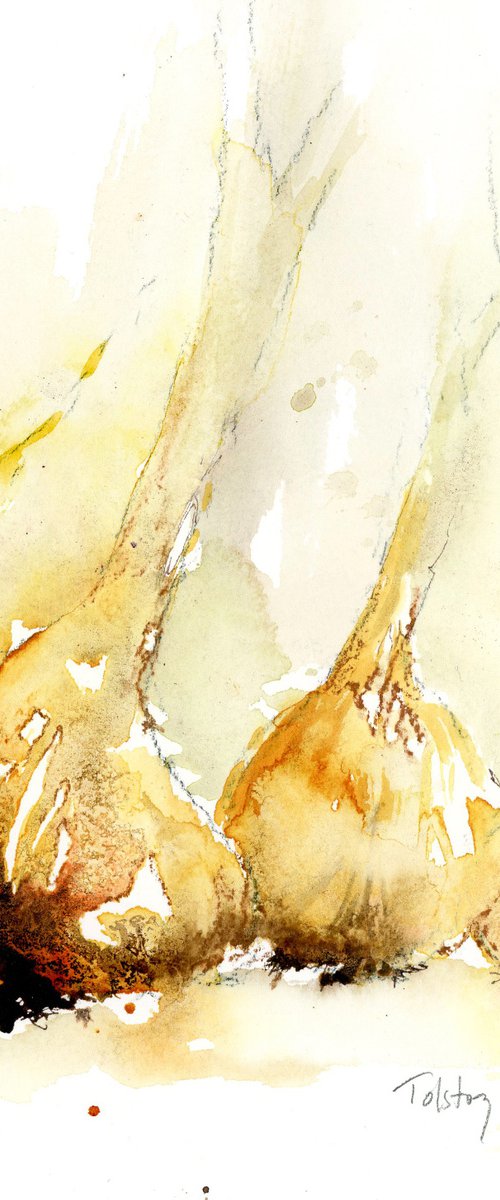 Onion Beginnings by Alex Tolstoy