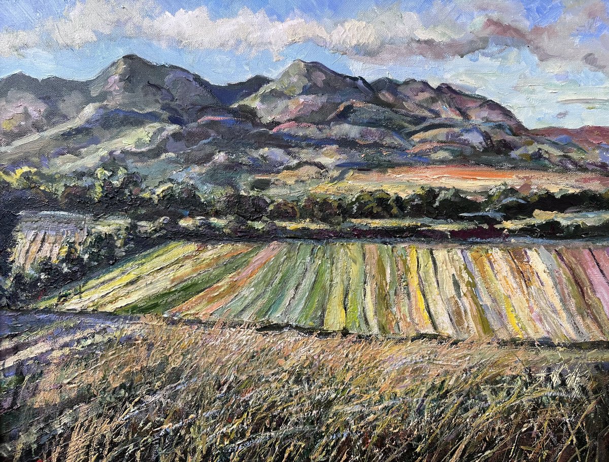 Birtvisi Canyon By Zurab Sharvadze, 28 X 24, Artwork For Sale On Artfinder