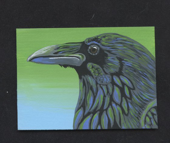 ACEO ATC Original Miniature Painting Crow Raven Bird Wildlife Art-Carla Smale