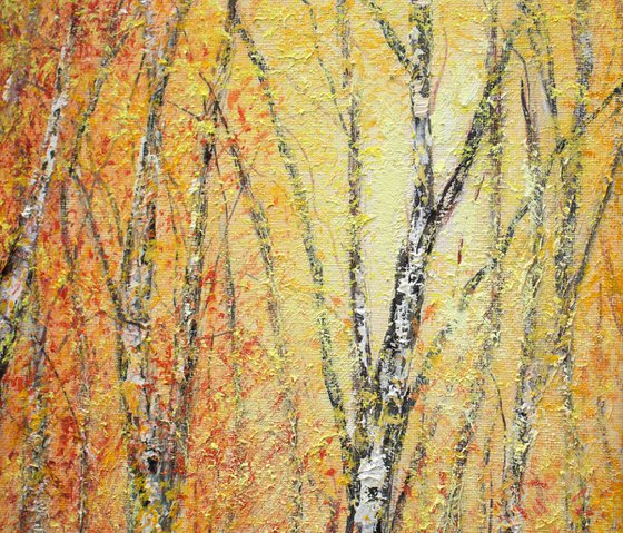 Autumn birch trees 2