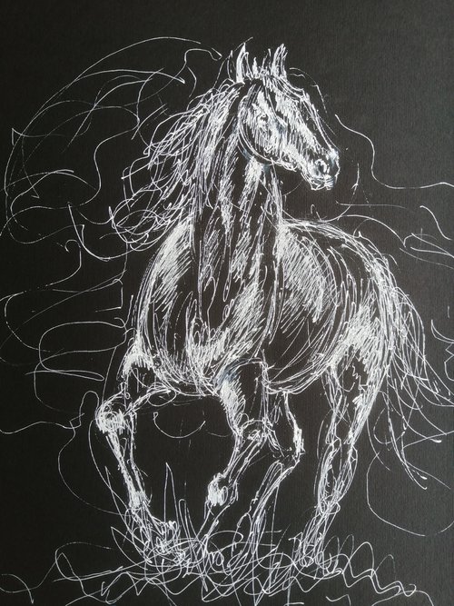 horses 19 by Giorgio Gosti