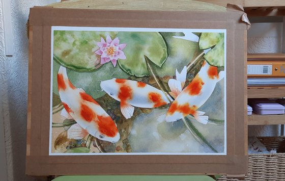 Calming Carp