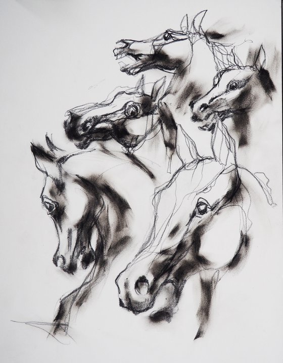 HORSES