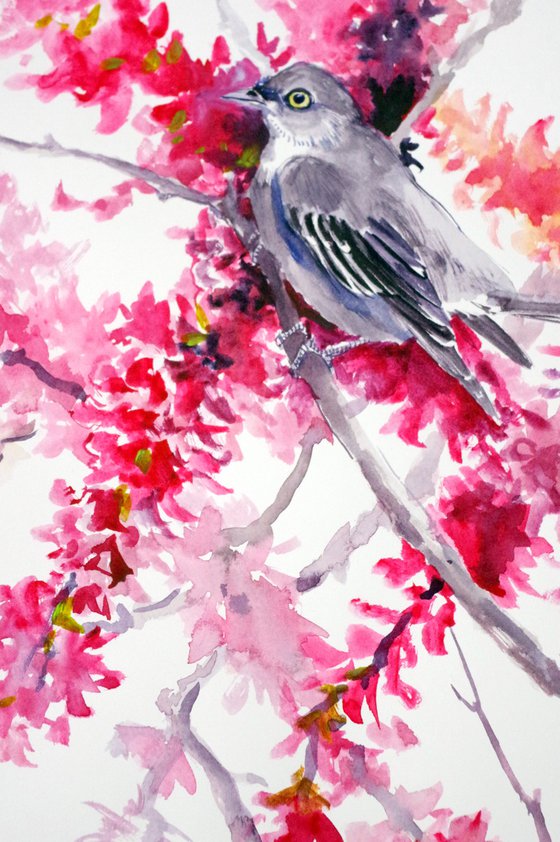 Mockingbird and Spring Blossom
