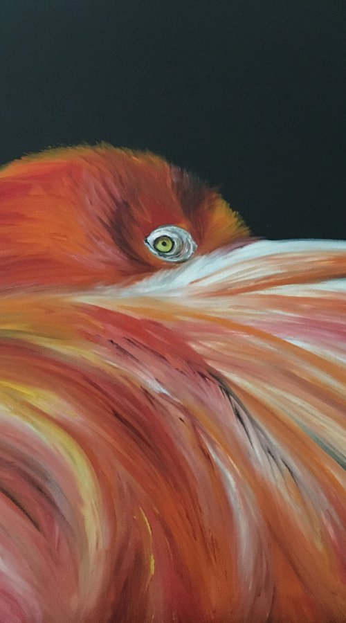 Burning Flame by Timea  Valsami
