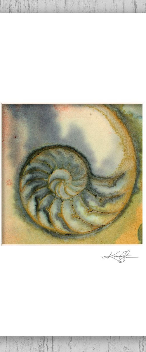 Nautilus Shell 2022-21 - Sea Shell Painting by Kathy Morton Stanion by Kathy Morton Stanion