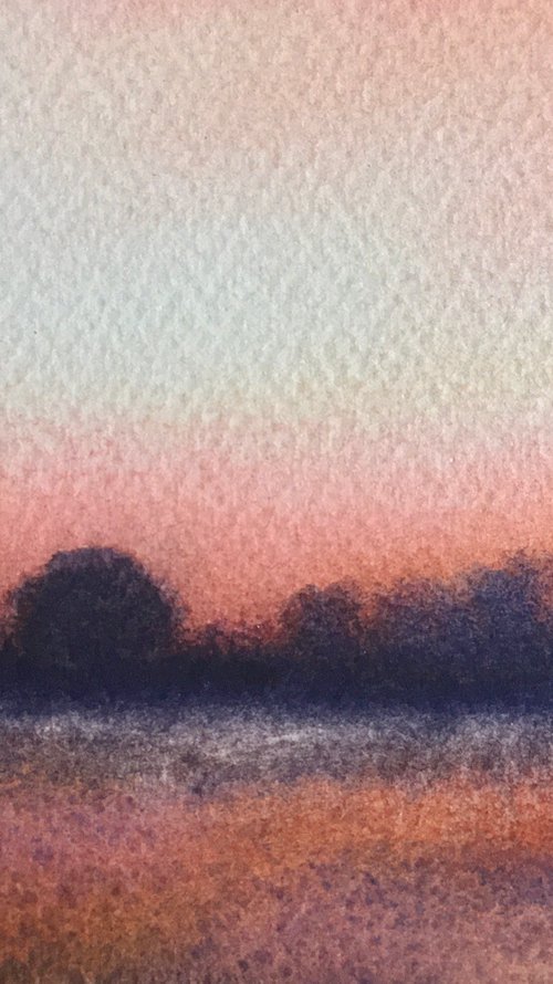 Lasting orange dusk by Samantha Adams