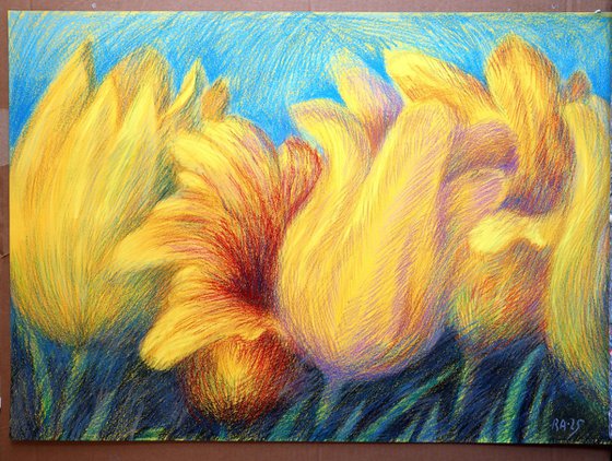 Tulips Yellow 4
