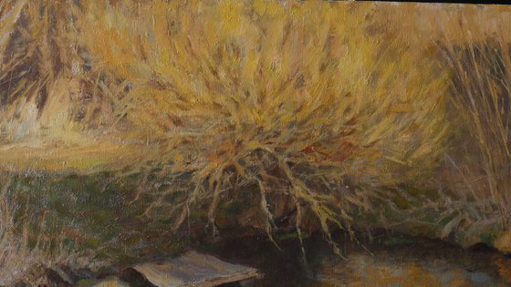 The Golden Evening