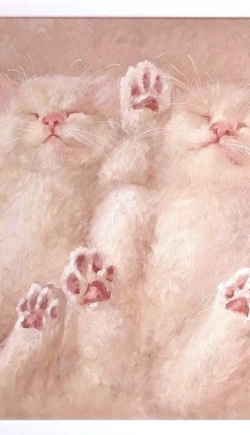 Pink cat paws by Alena Post