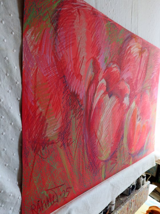 Tulips Red