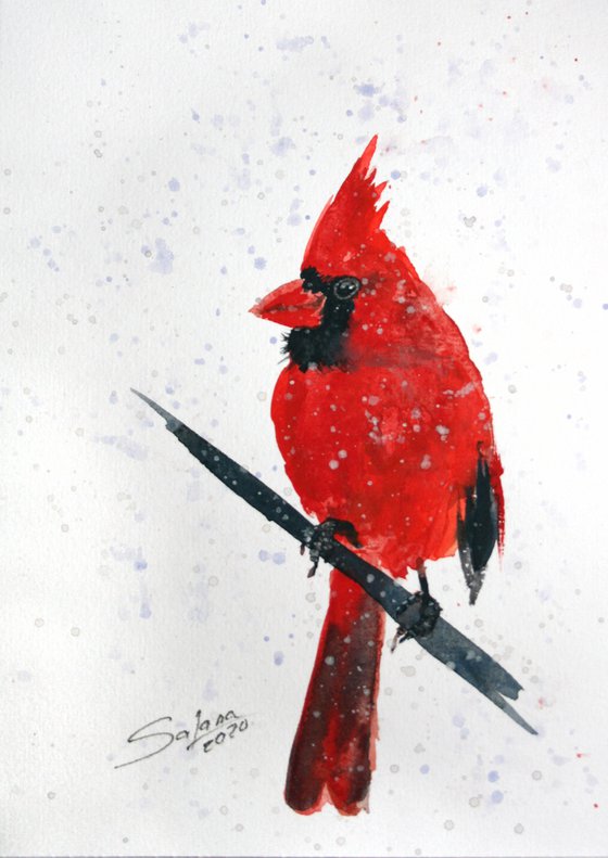 Cardinal II - Bird portrait /  ORIGINAL PAINTING