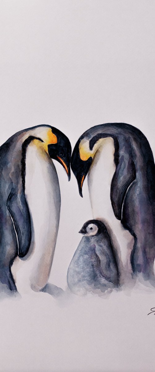 Family of penguins by Yafit Moshensky