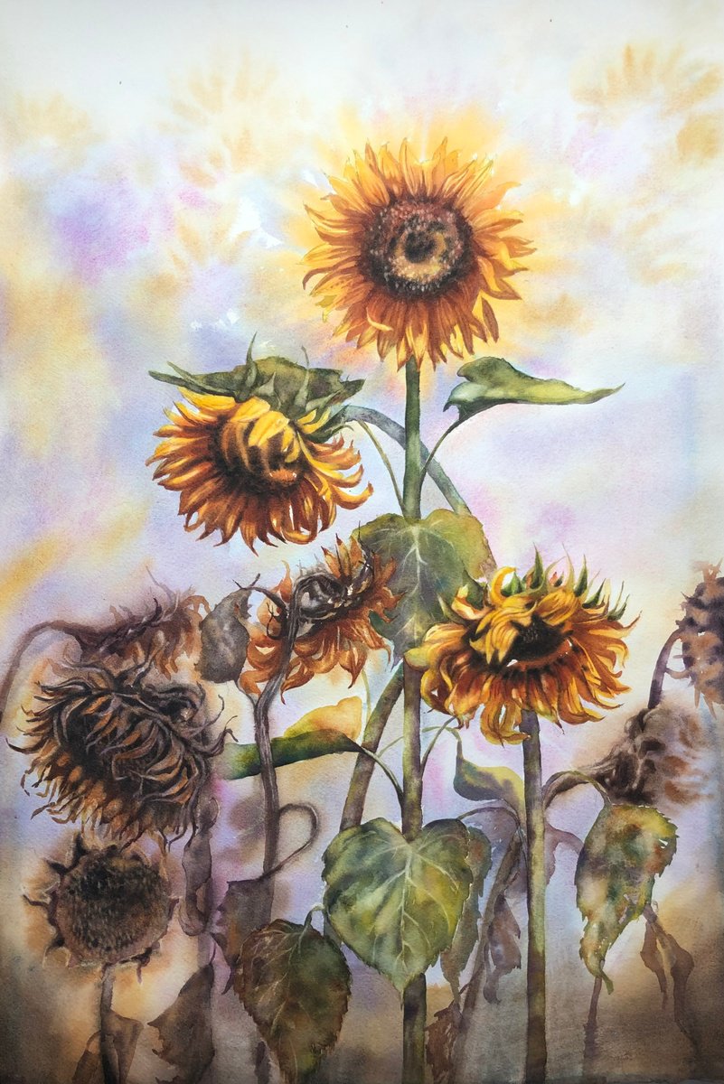 Photorealistic Botanical Watercolour By Alina Karpova, 15 X 22, Sunflowers Life Cycle, Original Artwork