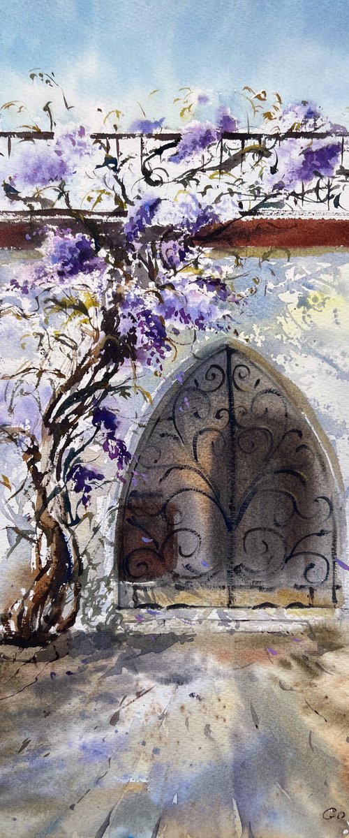 Arch with wisteria Cyprus by Eugenia Gorbacheva