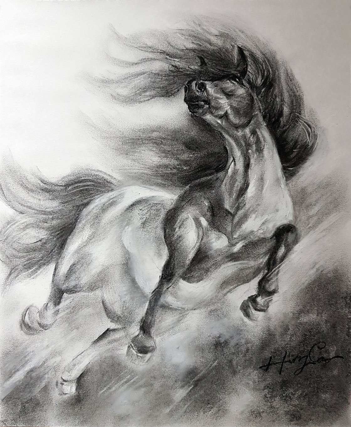 Realistic charcoal drawing of galloping horse in black and white