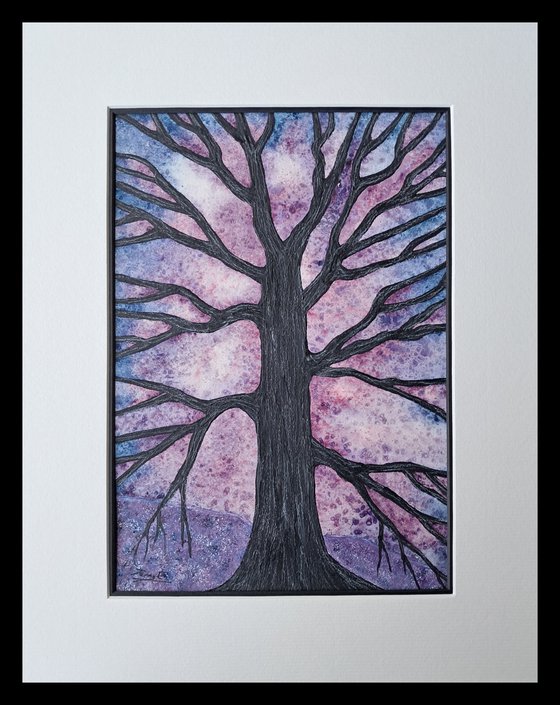 Forever Seeking Calmness