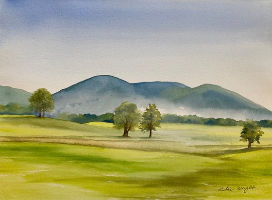 Mist on the hills