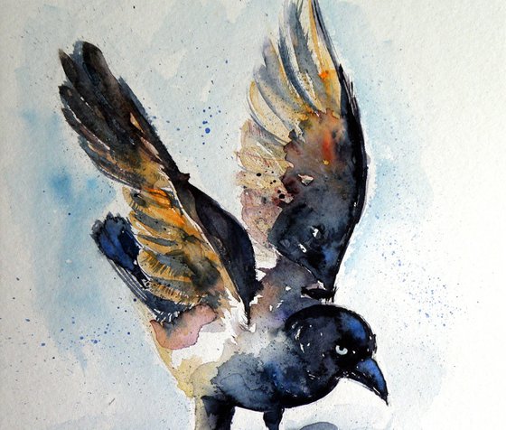 Crow on ice