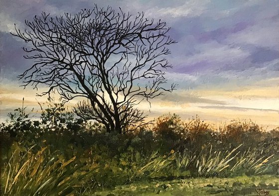 Winter Sunset