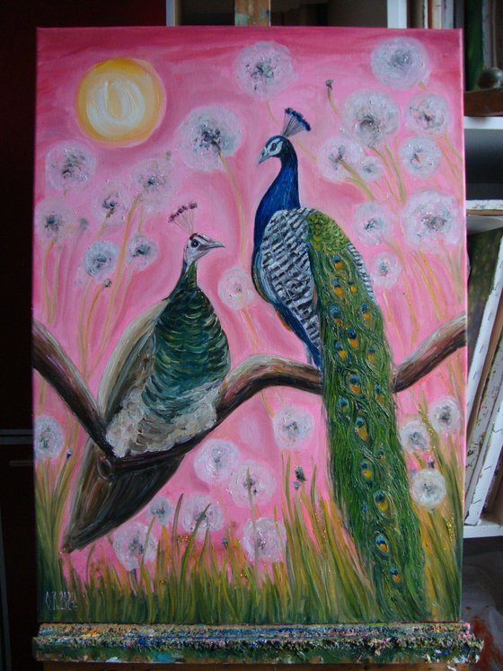 Pair of peacocks