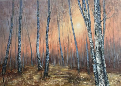 Birch lace. Forest at sunset by Larisa Batenkova
