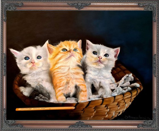 ,, Kittens'' realism cat pastel on pastelmat
