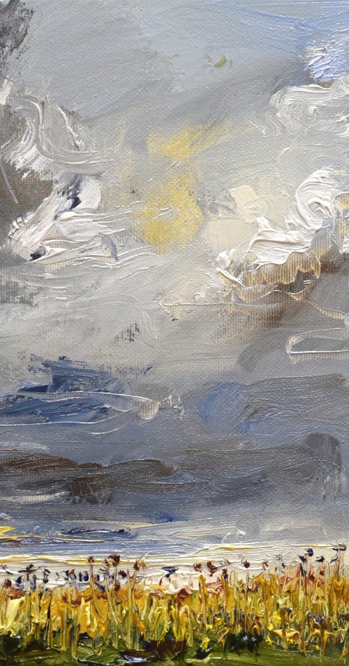 Cumulus by Sonja Brussen