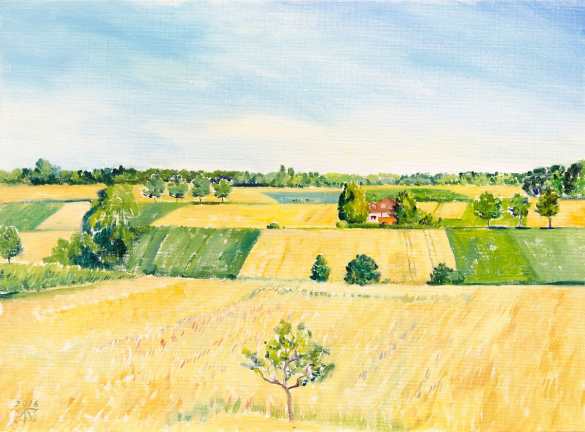 The summer field near SI Centrum by Daria Galinski
