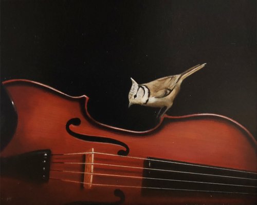 Crested tit on a violin by Mike Skidmore