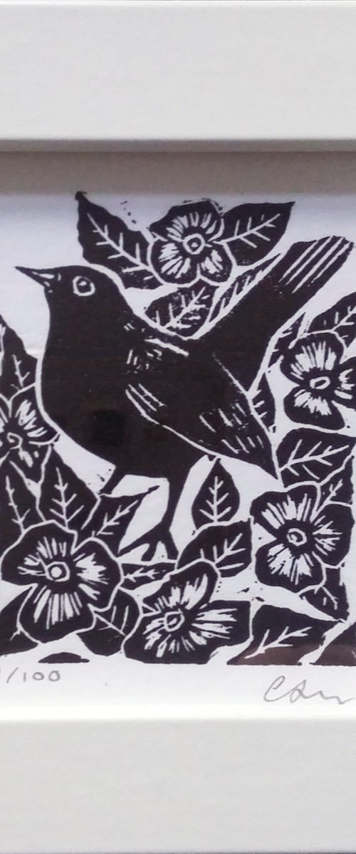 Tiny Blackbird by Carolynne Coulson