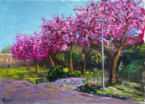 Spring Sakura Alley Plein Air