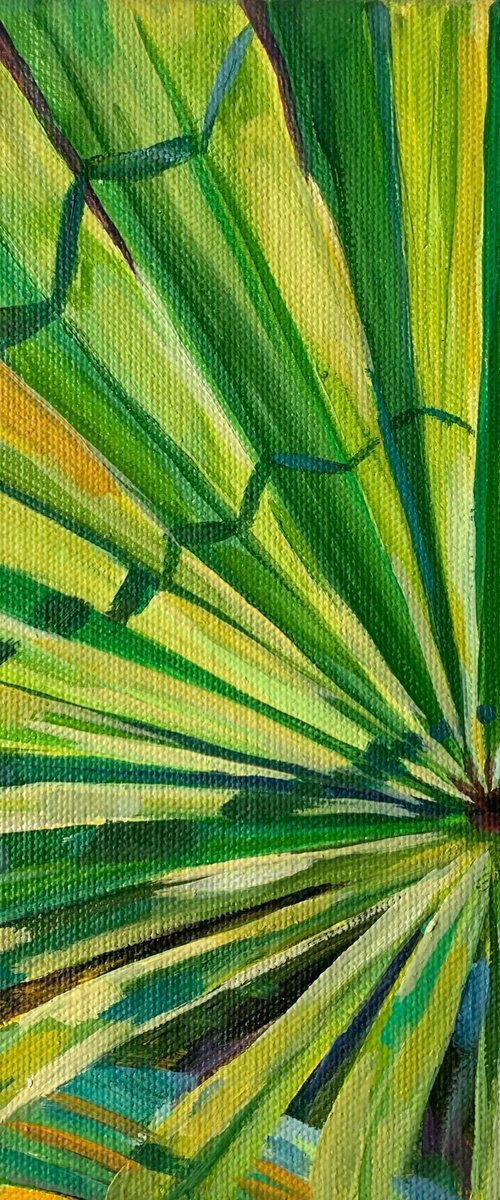 Green leaf of Palm by MOMALYU