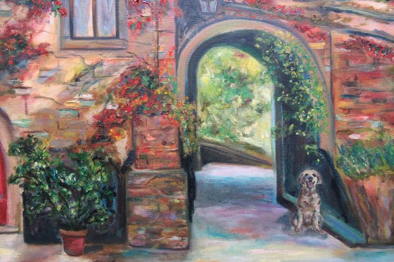 In the courtyard Italian Architecture Red House with Arch Sunny Street Dog Pet Florence Doorway View