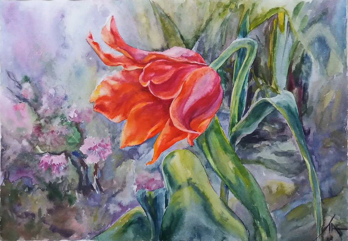 Tulip by Liubov Ponomareva