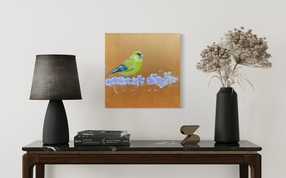 Greenfinch on cherry blossom