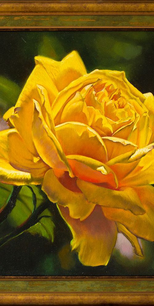 Solar rose by Anna Bessonova (Kotelnik)