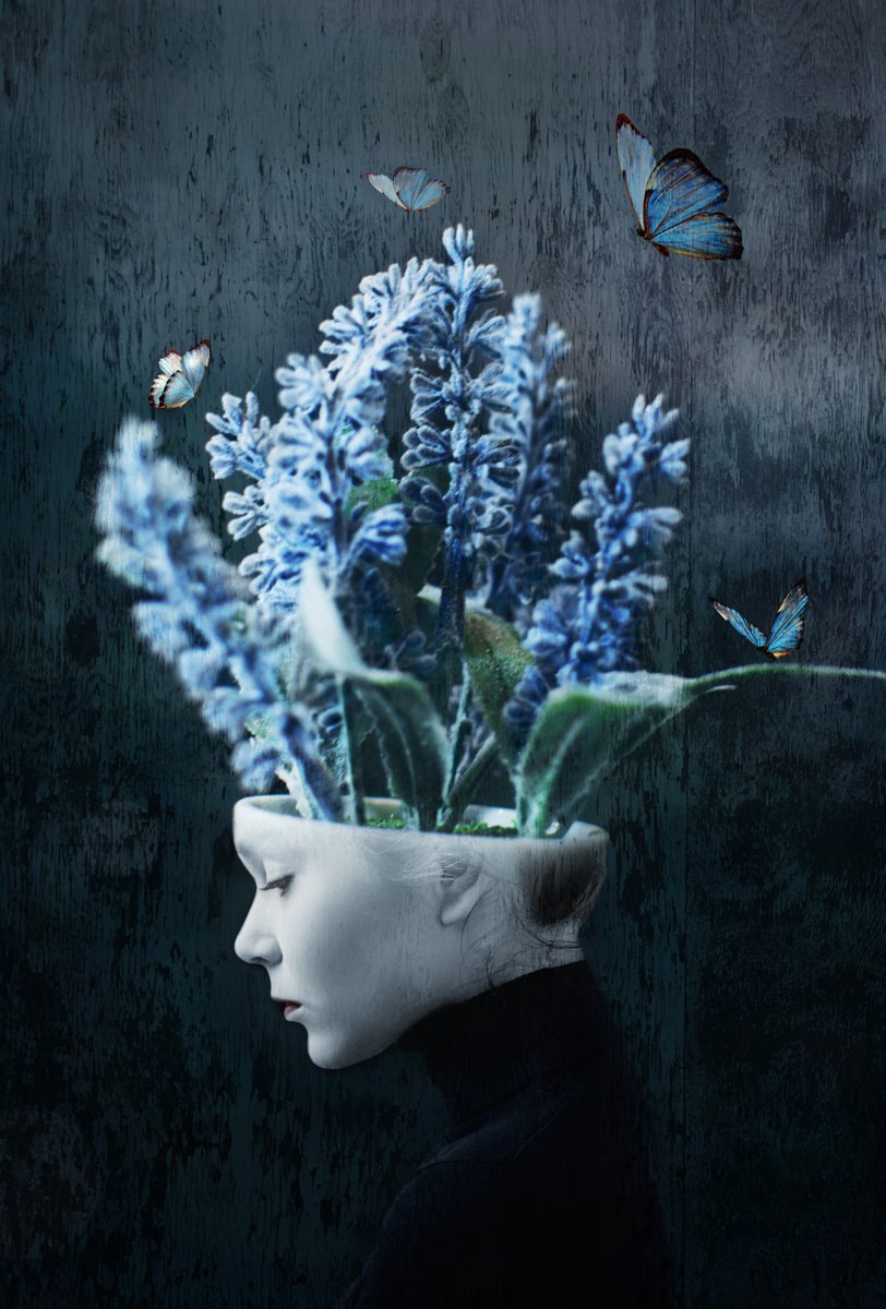 Botanical collection Vol 1. Gossamer-winged butterflies Art portrait on canvas by Elmira Namazova