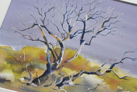 Desert tree in watercolor Arizona nature