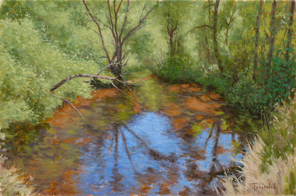 Impressionistic Landscape Oil Painting By Dejan Trajkovic, 22 X 16, Wellspring, Original Artwork