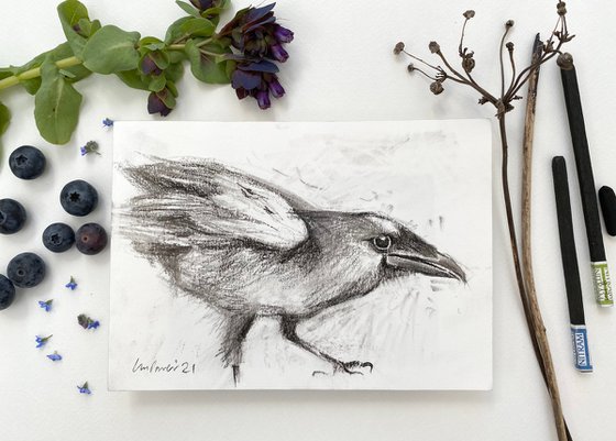 Charcoal Raven #05