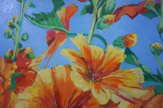 Yellow flowers