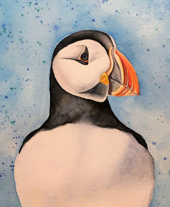 Perky Puffin - Framed Watercolour