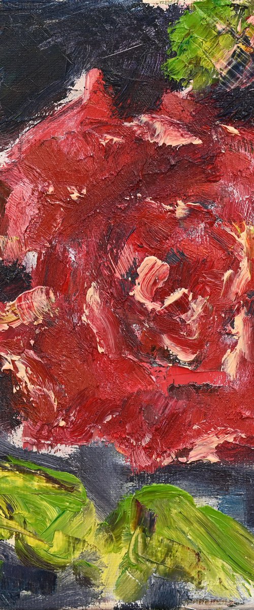 Red rose by Elena Zapassky