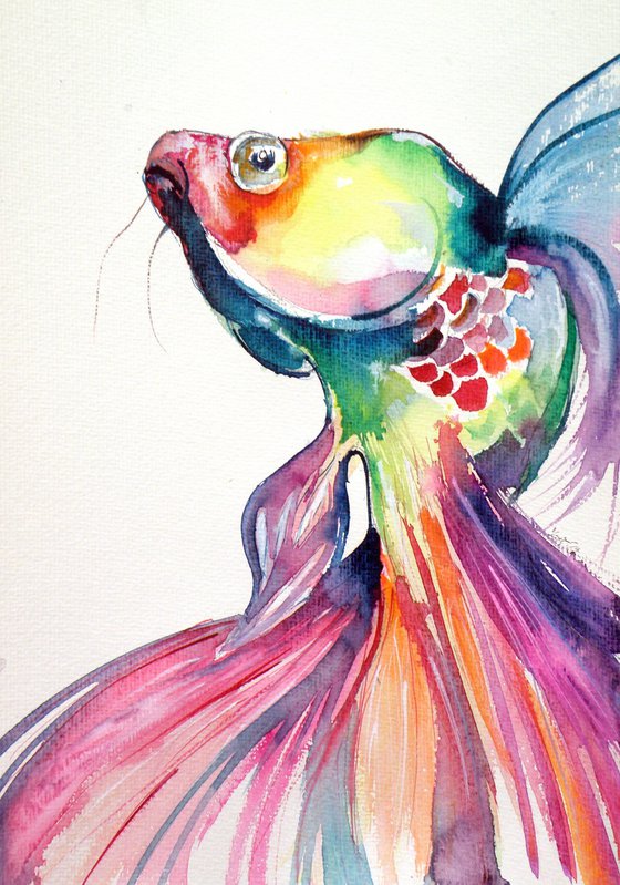 Colorful fish